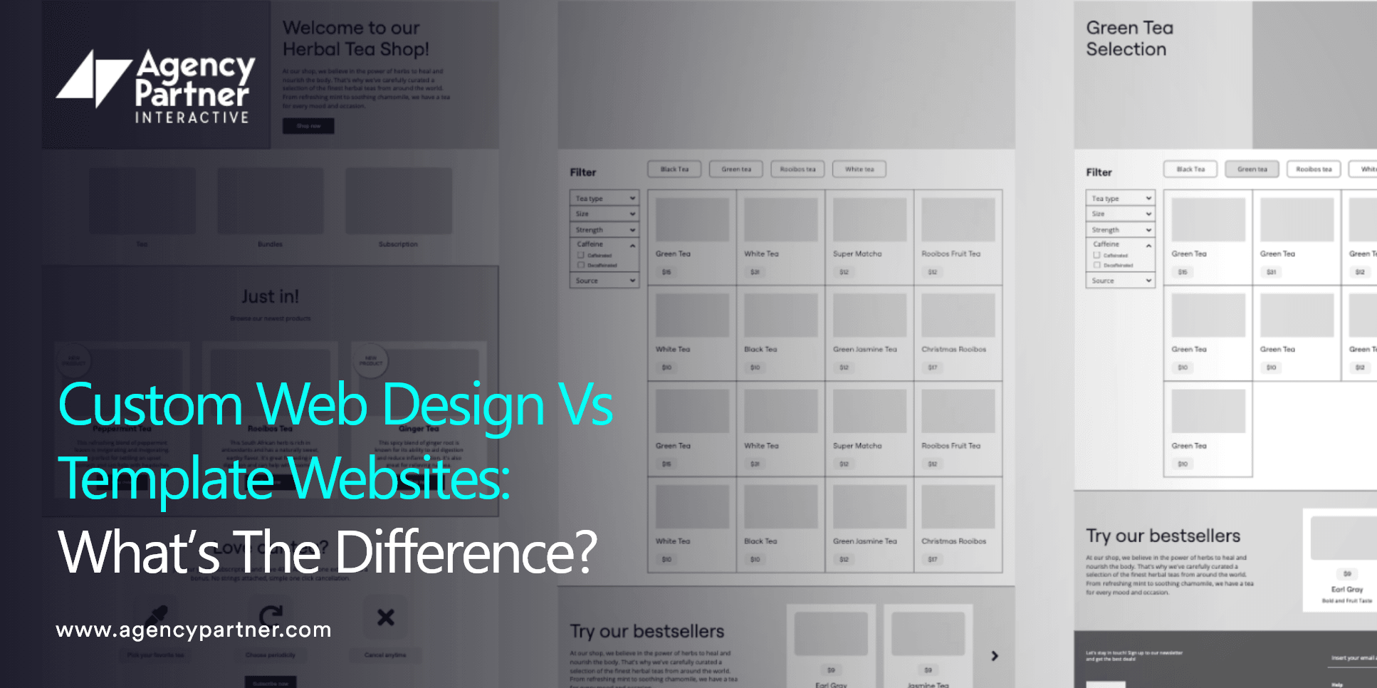 custom-web-design-vs-template-websites