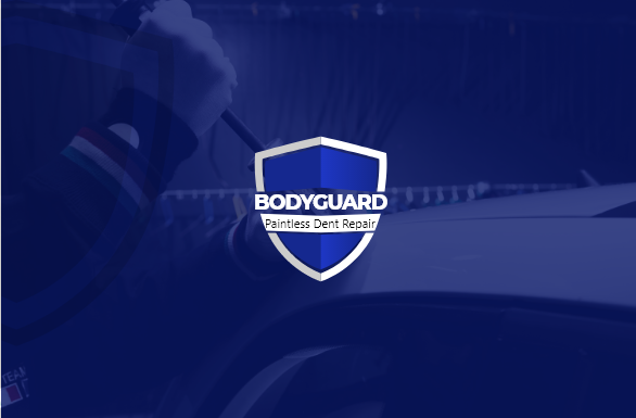 bodyguard-pdr