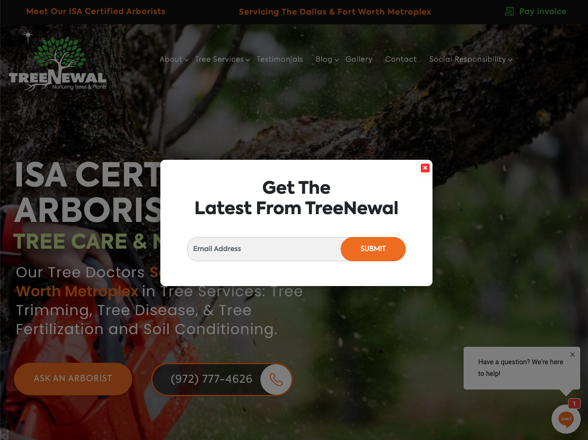 TreeNewal ISA Certified Arborists - Tree Services Web Design Agency