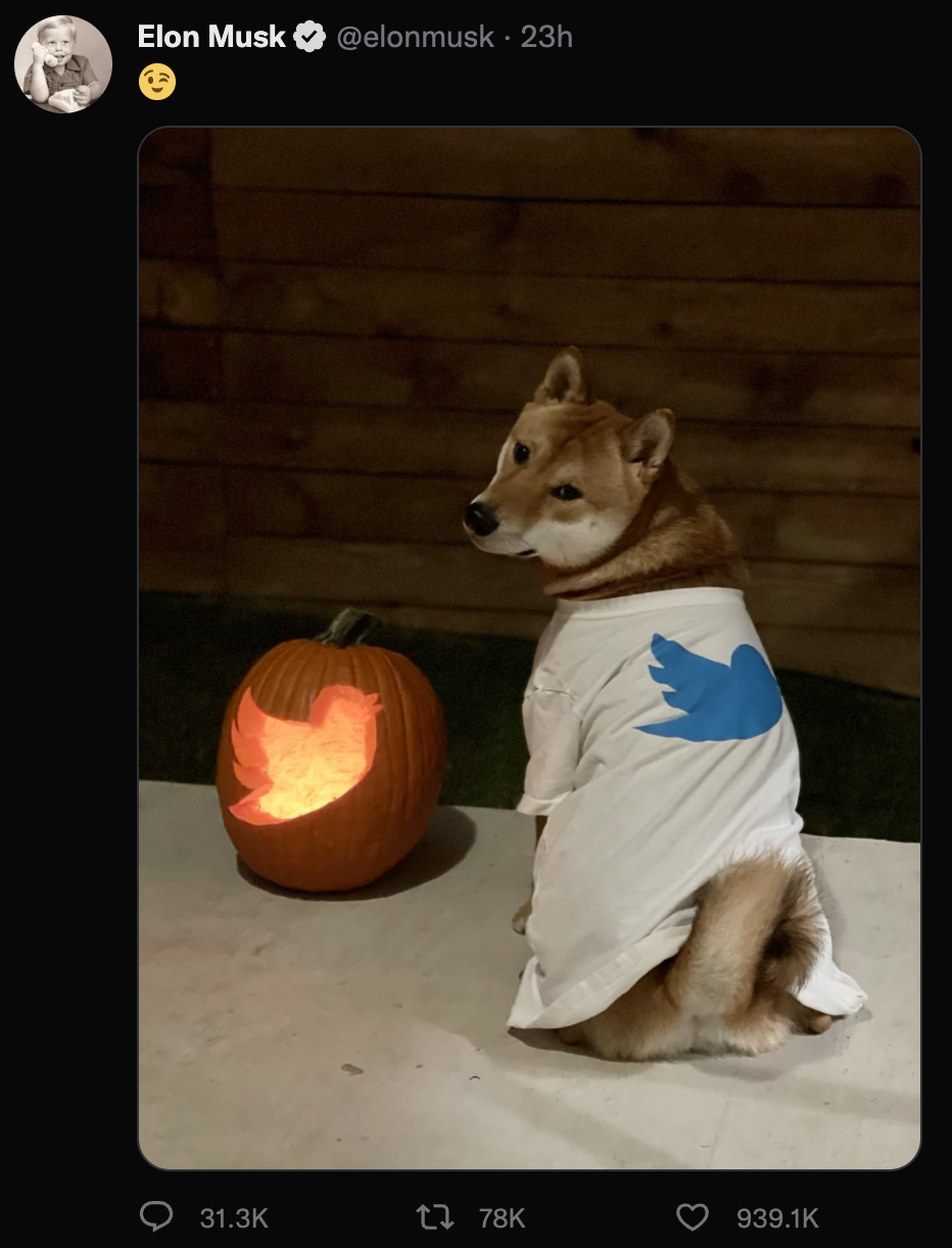 Must Twitter DOGE crypto